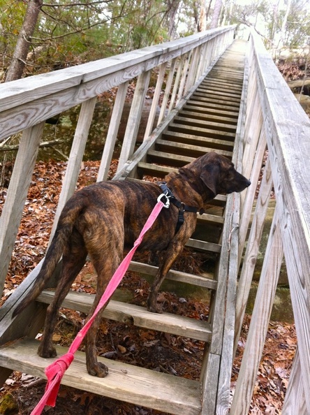 Silvermine Arch Trail - 8